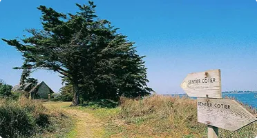 Les meilleures randonnées à faire dans le Golfe du Morbihan
