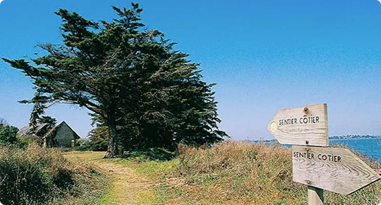 Les meilleures randonnées à faire dans le Golfe du Morbihan