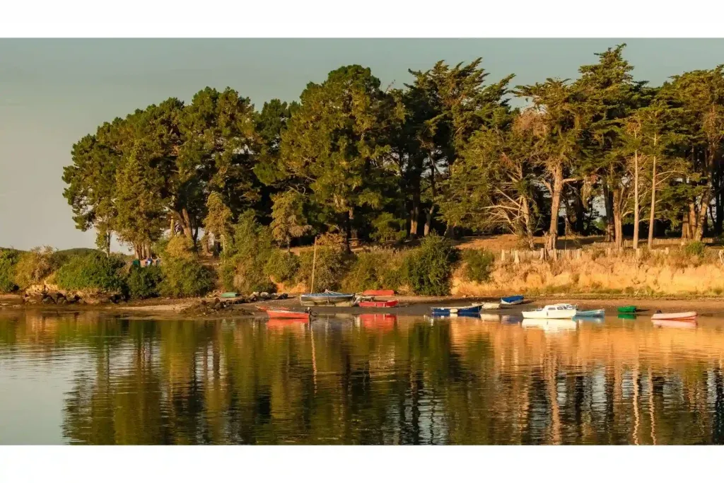 Histoire de l’île d’Arz