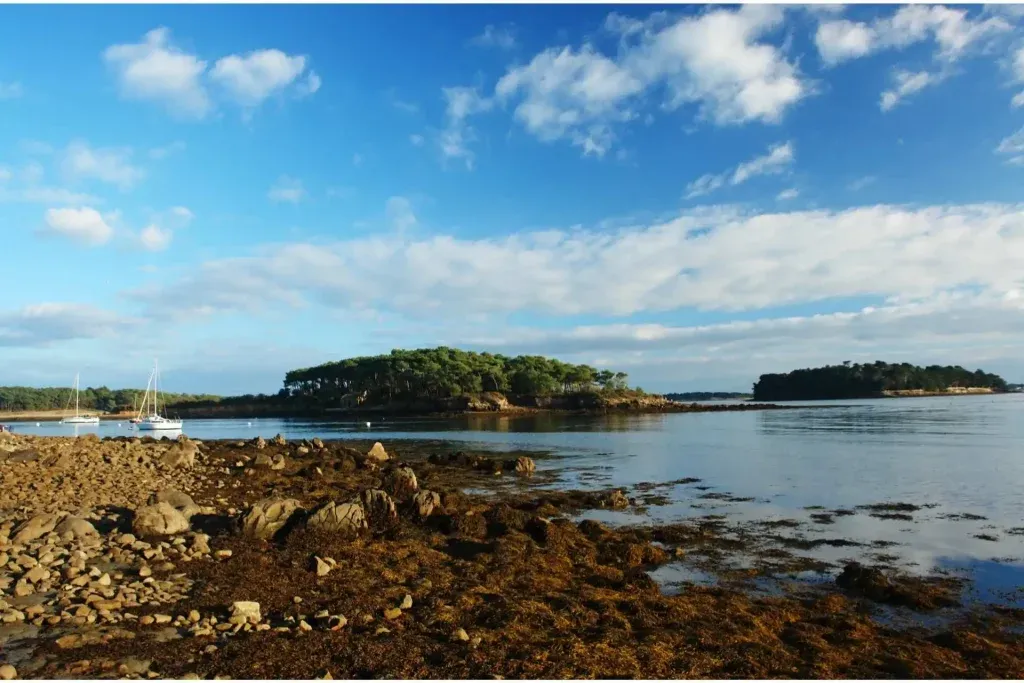 Histoire de l’île de la jument